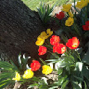 Meet your Posher, Lorena